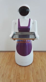 智能科技崛起 陕西机器人与宁夏银川市场热潮解析