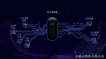 太极石纤维与智能科技融合，开启品牌升级新篇章